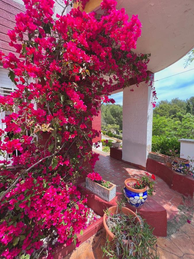 Apartamentos Famara Lloret de Mar Exteriör bild